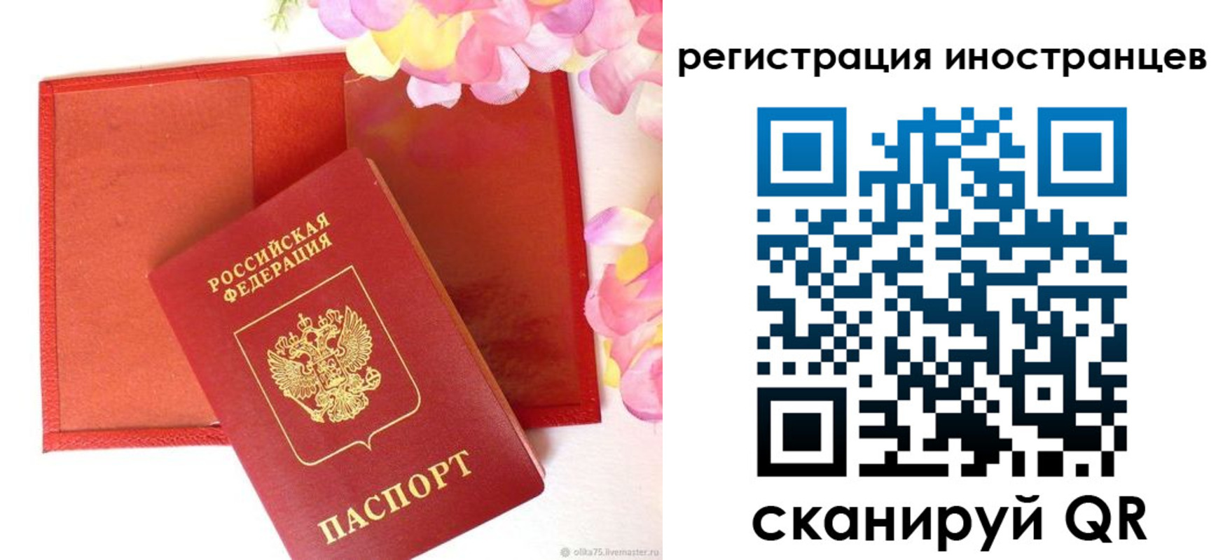 временная регистрация надежно в Мурманске
