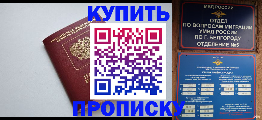 прописка регистрация в Мурманске